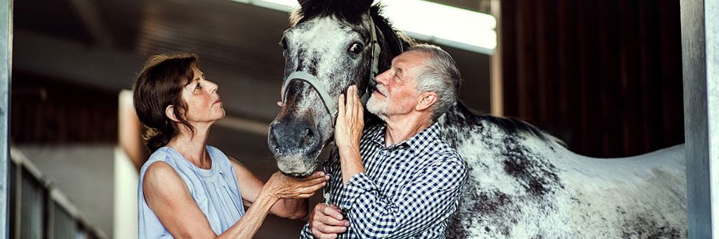 A retired couple relaxes with their horse.